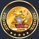 Hatimanis88: A Quintessential On-line Casino Practical experience for Current Gamers